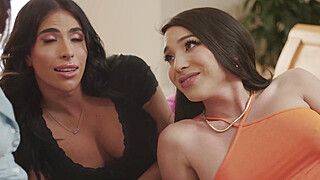 Testing my new bed with my shemale bffs - ah-me.com