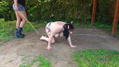 Pig Slut Training - MaryBitch - hclips.com