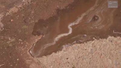 204-rhyo-who-whatsex-sfs - senzuri.tube