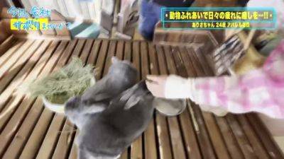 0007454_巨尻 プリケツ 大量潮吹きなどが含まれている - hclips.com - Japan