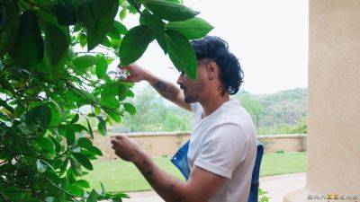 Shay Sights - Ass-Scaping The Horny Housewife With Logan Exx, Shay Sights, Rico Hernandez - Brazzers - hotmovs.com