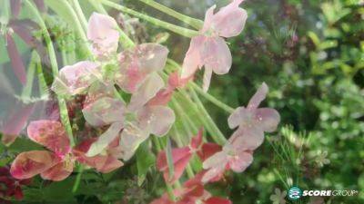 She Wore an Itsy Bitsy Polka Dot Bikini - hotmovs.com