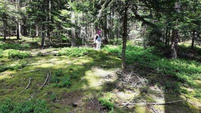 Wild French lesbians make out & eat pussy in the forest - Alt girls outdoor sex - porntry.com - France