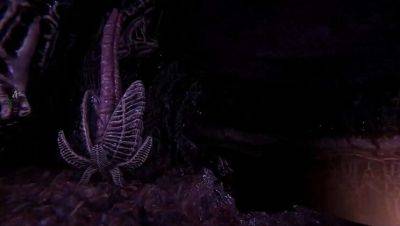 Lust from Beyond Part 4 - BDSM Hentai Game with Monster Girls & Masked Sex - veryfreeporn.com