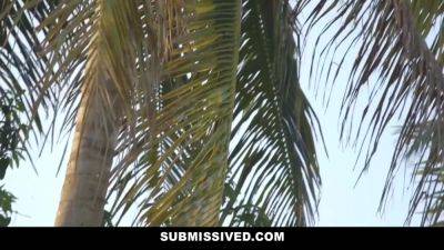 Social Media Creeper With Brick Danger And Aaliyah Hadid - hotmovs.com