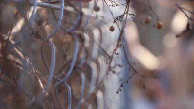 0009648_パンスト フェザータッチ おばさんなどが含まれている - hclips.com - Japan