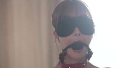 x1xF5C203B2DE0A65DC6A - hclips.com