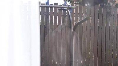 RDIZTLZVFMJKESMHLB25START014V - upornia.com