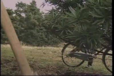 Japanese-sex-siko-639 - hclips.com