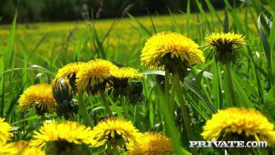 Iris Kiss Kiss, Anal Debut - Private Porn Sex Videos - hotmovs.com - Russia