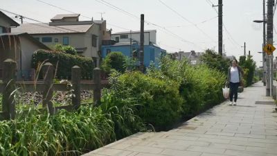 ANLFHAHGZLGSWTFQTM44JUR550 - upornia.com