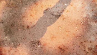 Steve Holmes - David Perry - Wild Orgy with Magnificent Babes Lucy Belle & Rubi Diamond - Anal Gangbang DP - porntry.com