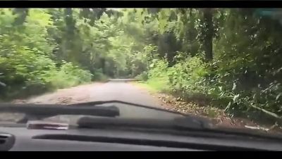 Bruxo Fire Bangs Latina in Forest Milk Bath - Outdoor Doggy Style & Blowjob - xxxfiles.com