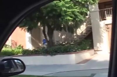 Sydney Capri - Sexy Black Girl Big Dick Sucking Ass Fucking - hotmovs.com