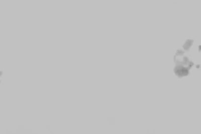 Wilde Ride! With Kylie Wylde - hotmovs.com