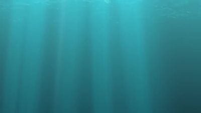 :- Booboo Gets Gifts Of A Cock Ring And A New Cock! - hotmovs.com - Britain