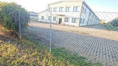 Amateur MILF Gets Fucked Doggystyle By Taxi Driver In Car Trunk - Big Cock Action - veryfreeporn.com