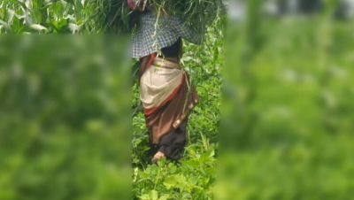 Desi Bhabhi Outdoor Fuck with Devar in Jungle - Sukunmi & Dewaif Public Sex - veryfreeporn.com - India