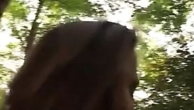 Skinny Hairy Amateur Swinger Fuck in the Countryside - Homemade Threesome Anal - veryfreeporn.com - Italy