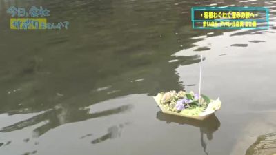 0005297_JAV_JapaneseAV_Censored_MGS_19min - hclips.com - Japan