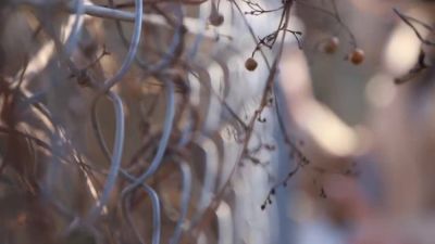 0005653_JAV_JapaneseAV_Censored_MGS_19min - hclips.com - Japan