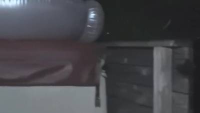 Naughty Teens Hide and Seek Large Dick - hotmovs.com