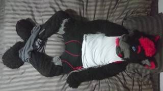 Sexy Fursuit Stripping - pornhub.com