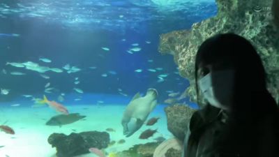 0005654_JAV_JapaneseAV_Censored_MGS_19min - videohdzog.com - Japan