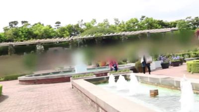 0005550_JAV_JapaneseAV_Censored_MGS_19min - videohdzog.com - Japan