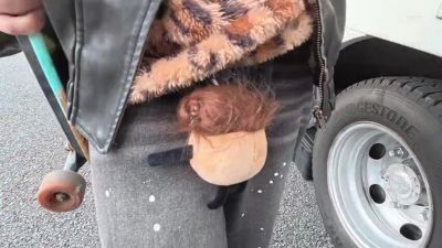 SXTJWUOAUKKDOIOHTKSDMM234 - upornia.com - Japan - Argentina