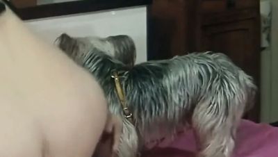 Vintage Hairy Threesome Party Fucking Pussy - xxxfiles.com - Italy