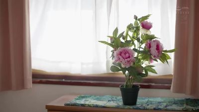 WFIMCWAQPPRRXISTWUJUR185 - upornia.com - Japan - Argentina