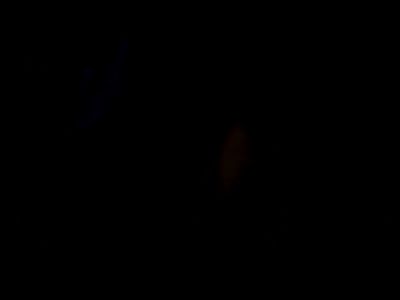Hairy intimate moments with passionate oral and delicate fingering - yesvids.com
